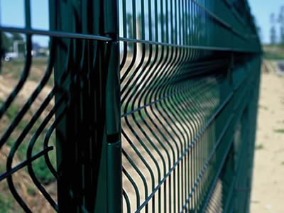 3D 구부러진 용접 철사 Fence-C0001