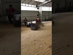 나무나 식물을 위한 검은 앙네어 뿌리 공 철자 바구니 뿌리 공 운송