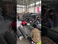 녹색 20 Ga 금속 와이어 메시 장식 헥사고널 와이어 네트 PVC 코팅