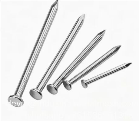 빠른 배달 일반 나무 와이어 손톱 철 손톱 수입자 손톱 일반
