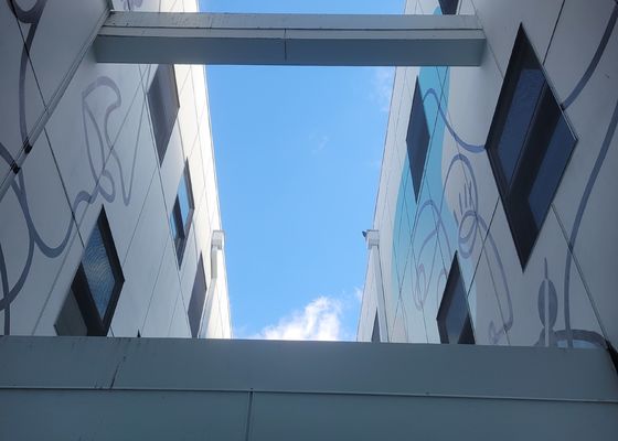 보호와 안전성을 위한 난간 부식 방지 스테인레스 강 316 와이어 로프 메쉬