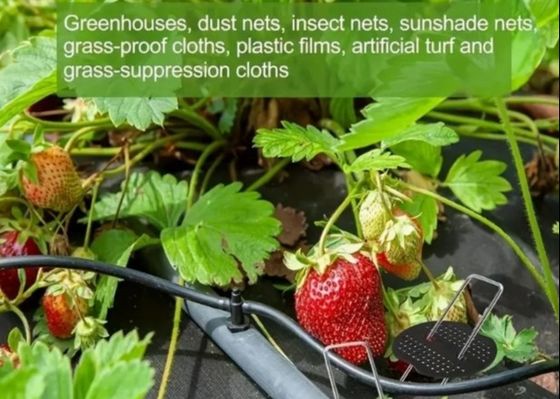 핫 디프 된 galvanized U 타입 정원 잔디 잔디 잔디 잔디 주식 잔디 톱니 9 가이드 와이어 지름