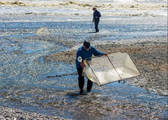 10meshx10mesh 알로이 하이트배트 망 하이트배트 망 수리 또는 스크린 제조