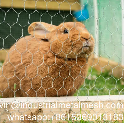 4인치 오픈 육각형 철망