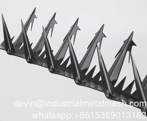 대형 5m 비둘기 닭살 스테인리스 스틸 벽 울타리 스파이크 벽 스파이크