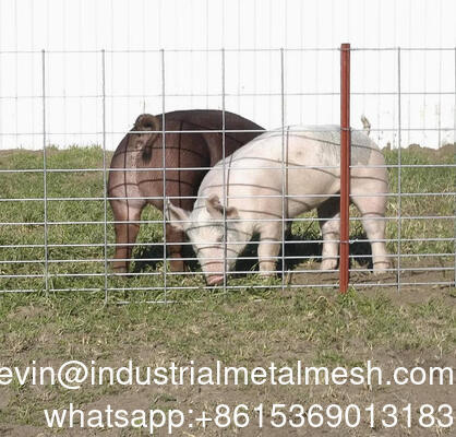 아연 도금 6mm 정원 울타리 용접 철망 시트