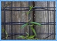 Eco 메시 모듈 식물 격자 체계/녹색 벽 철사 격자 체계 50x50mm