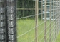 시골 염소와 양 펜싱을 위한 1.8m 높이 긴 수명 직류 전기로 자극된 힌지 겹합 울타리