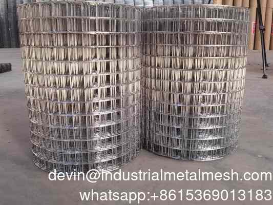 Customized Hot Dipped Galvanized Steel Wire Mesh High-Durable Welded Wire Mesh