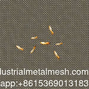 AISI 304 316 316L 항 테르미트 스테인리스 스틸 직물 철망 스크린