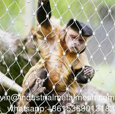 動物園フェンス用織りダイヤモンドワイヤーロープメッシュ