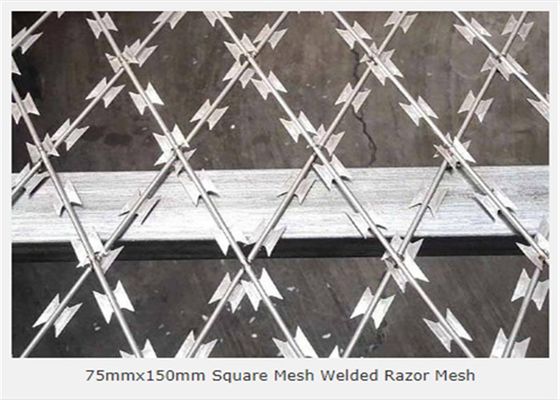 은에 의하여 직류 전기를 통하는 용접된 3.2mm 면도칼 철망사 75x150mm 오프닝